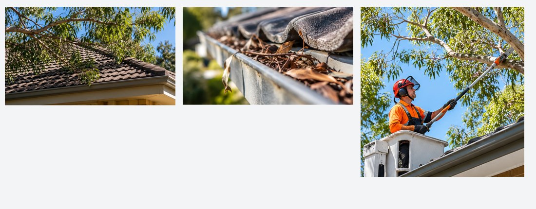 Australian roofing maintenance images showing overhanging tree branches, a gutter filled with leaves and professional tree pruning